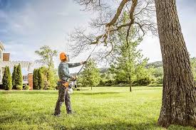 Best Tree Maintenance Programs  in Riverside, UT