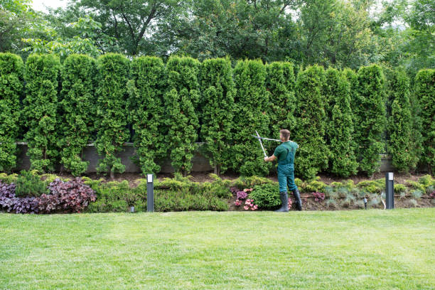 Best Lawn Watering Services  in Riverside, UT